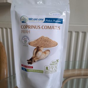 we_are_one_coprinus